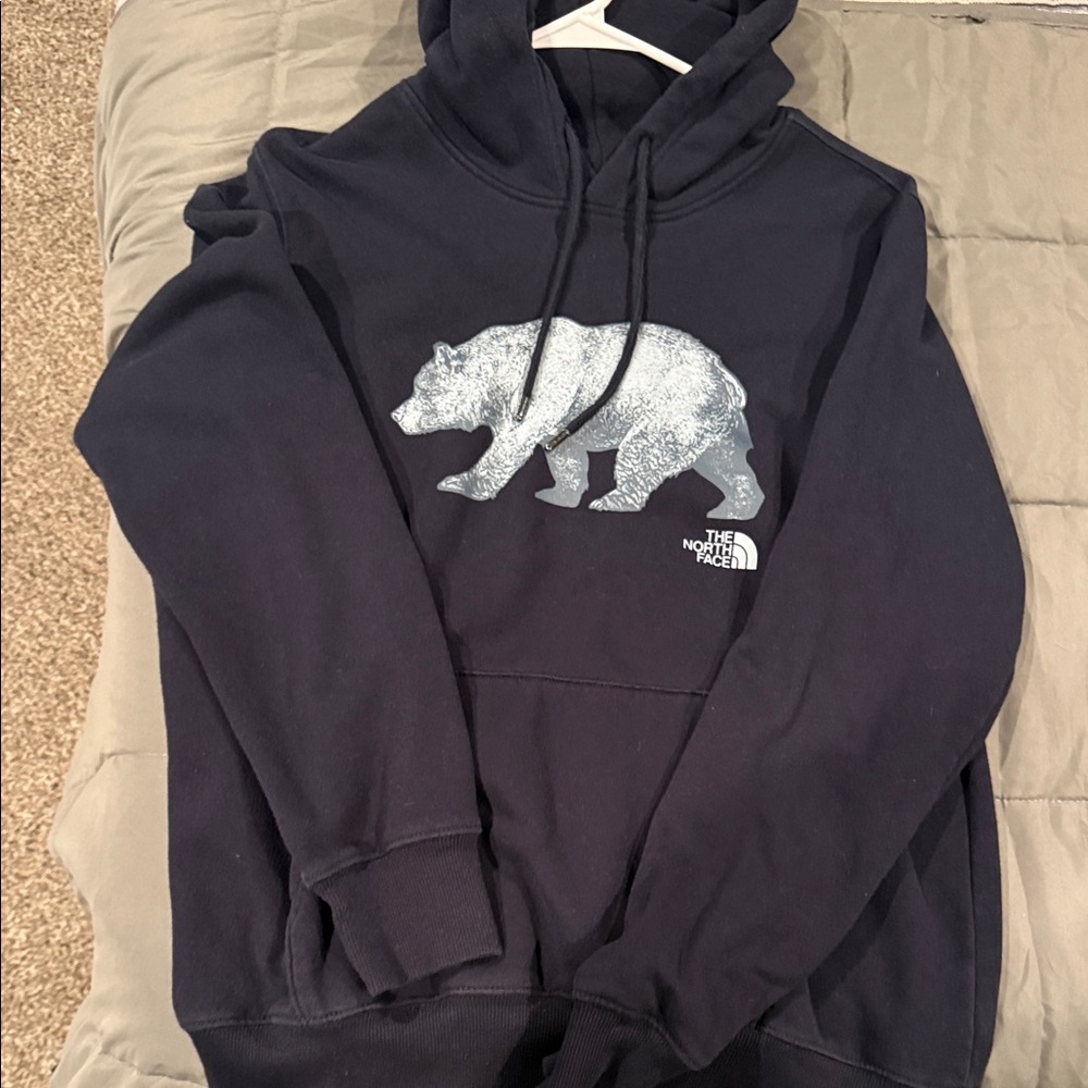 The North Face Men's Navy Hoodie with Bear Design